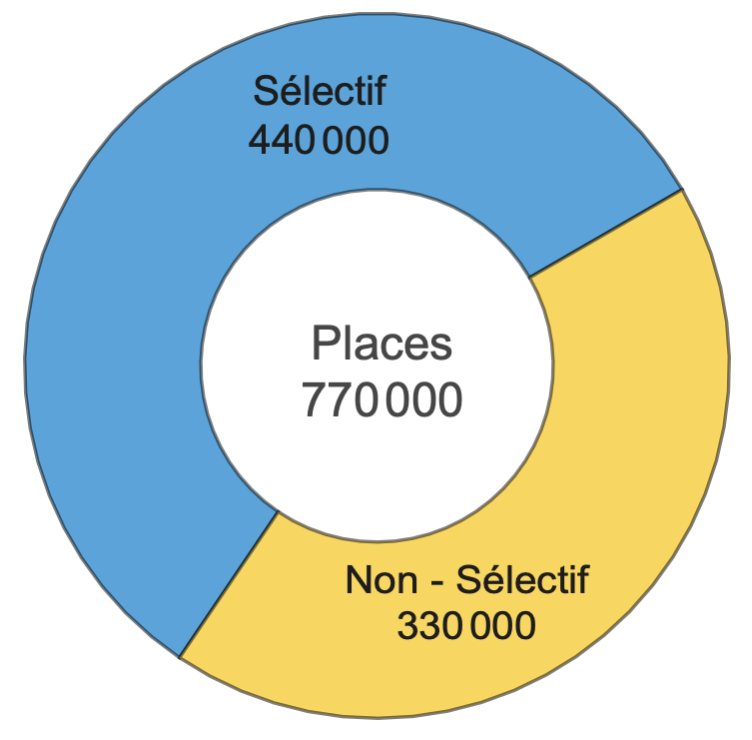 Places dans les filières séléctives et non sélectives